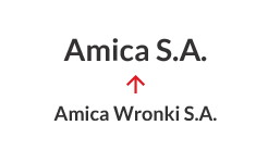 2016 - Ndryshimi i emrit nga Amica Wronki SA n&euml; Amica SA